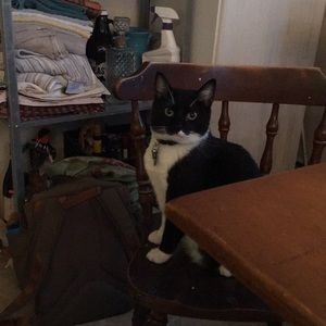 Meet your Posher, Christine